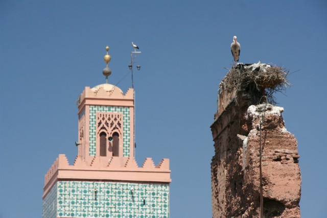 317 - Marrakech
