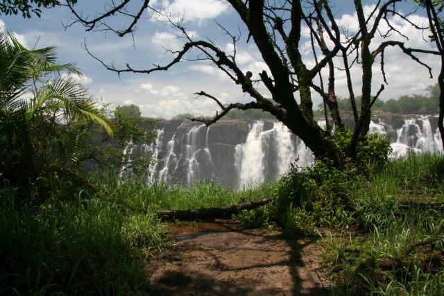 036 - Chutes Victoria Falls (Zambie/Zimbabwe)