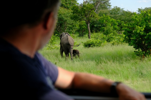 076 - Parc National de Chobe (Botswana)