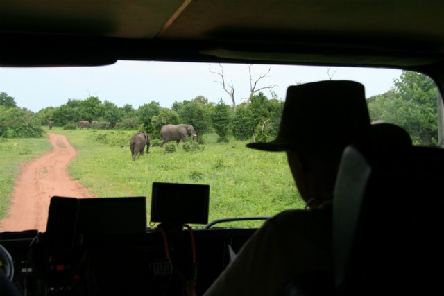 091 - Parc National de Chobe (Botswana)