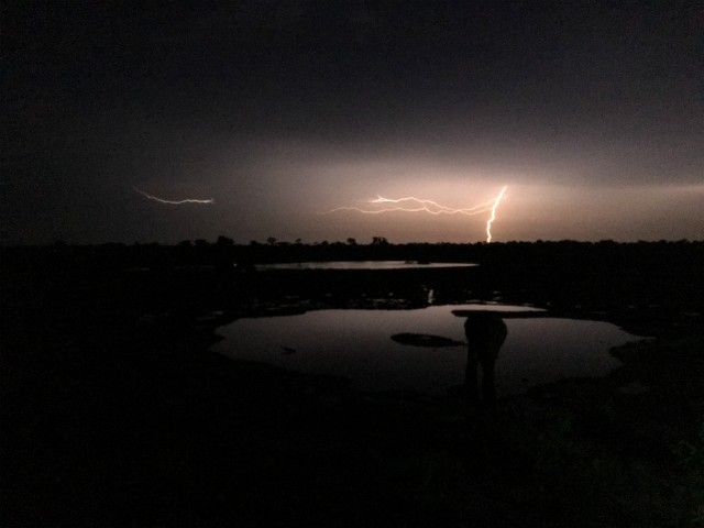 138 - Parc National de Chobe (Botswana)