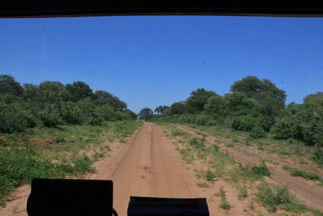 167 - Parc National de Chobe (Botswana)