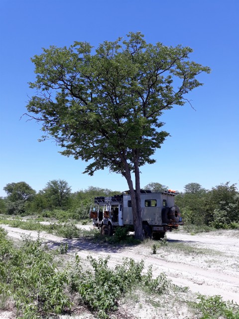 170 - Parc National de Chobe (Botswana)