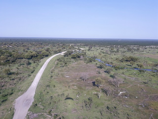 196 - Parc National de Chobe (Botswana)