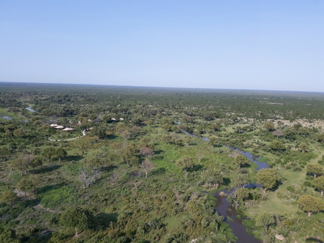 198 - Parc National de Chobe (Botswana)