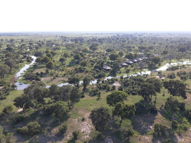 200 - Parc National de Chobe (Botswana)