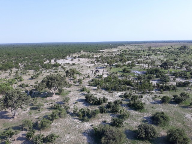 201 - Parc National de Chobe (Botswana)