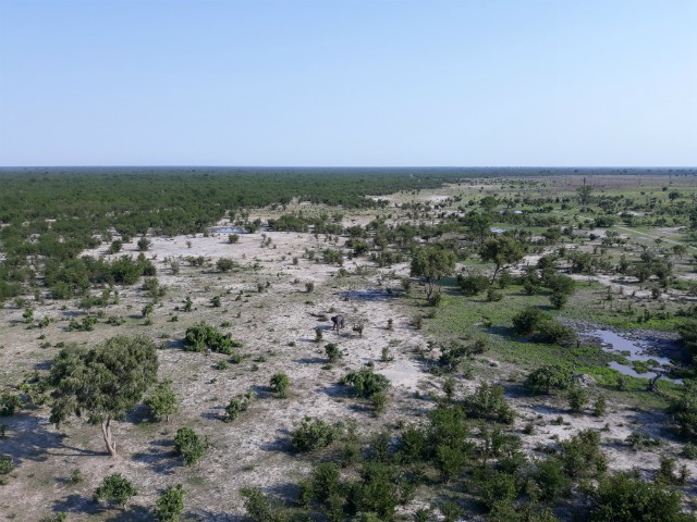 202 - Parc National de Chobe (Botswana)