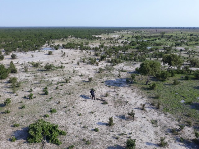 204 - Parc National de Chobe (Botswana)