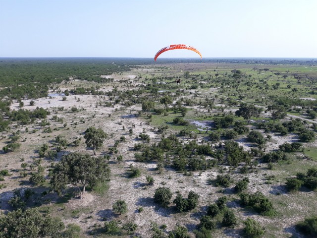 210 - Parc National de Chobe (Botswana)