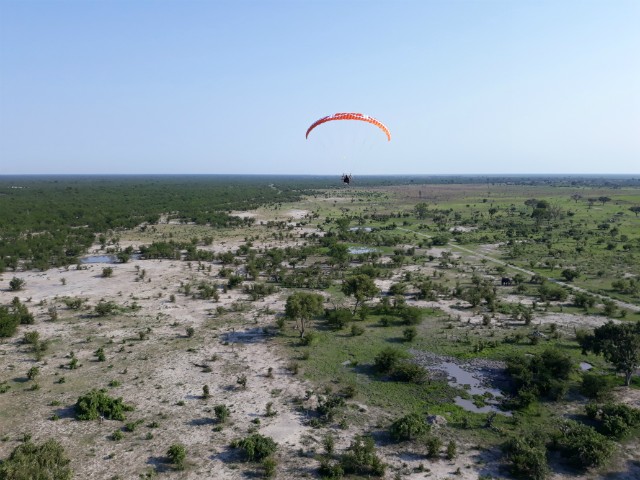 212 - Parc National de Chobe (Botswana)