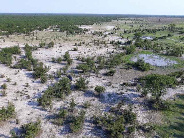 218 - Parc National de Chobe (Botswana)