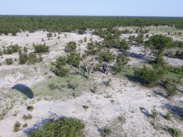 223 - Parc National de Chobe (Botswana)