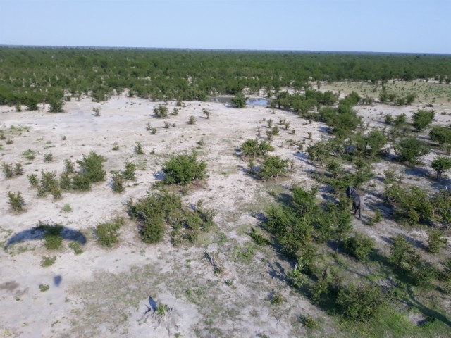 224 - Parc National de Chobe (Botswana)