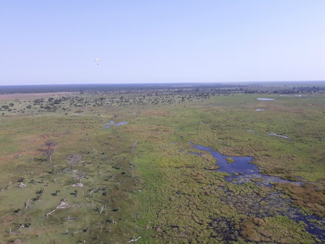 229 - Parc National de Chobe (Botswana)