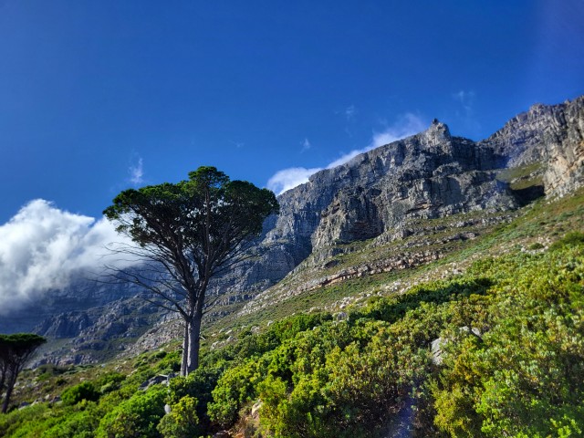 222 - Cape Town (Table Mountain)