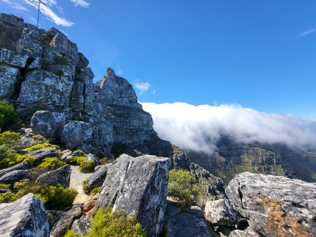 246 - Cape Town (Table Mountain)