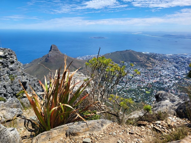 261 - Cape Town (Table Mountain)